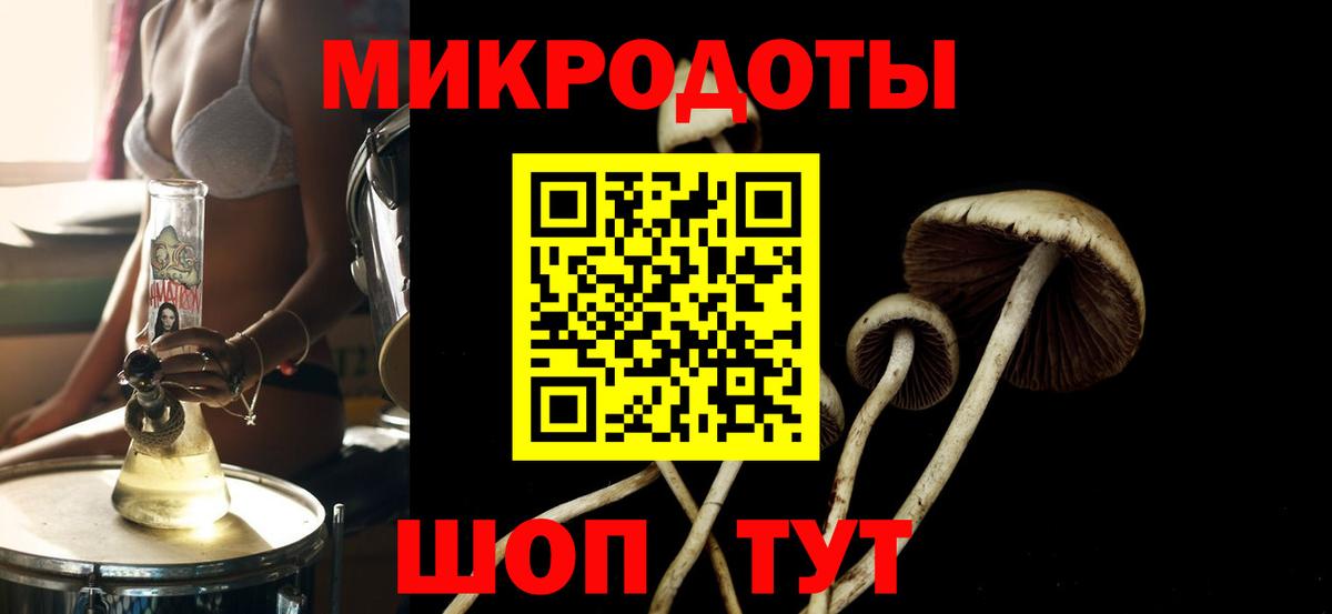 Оренбург  Псилоцибиновые грибы Cubensis  Вход с VPN 